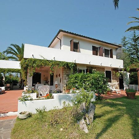 Apartament Le Palme Capoliveri  Zewnętrze zdjęcie