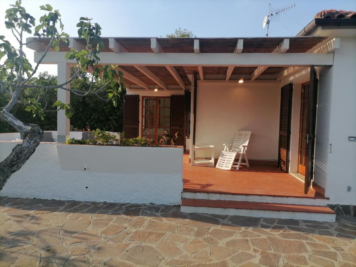 Apartament Le Palme Capoliveri  Zewnętrze zdjęcie