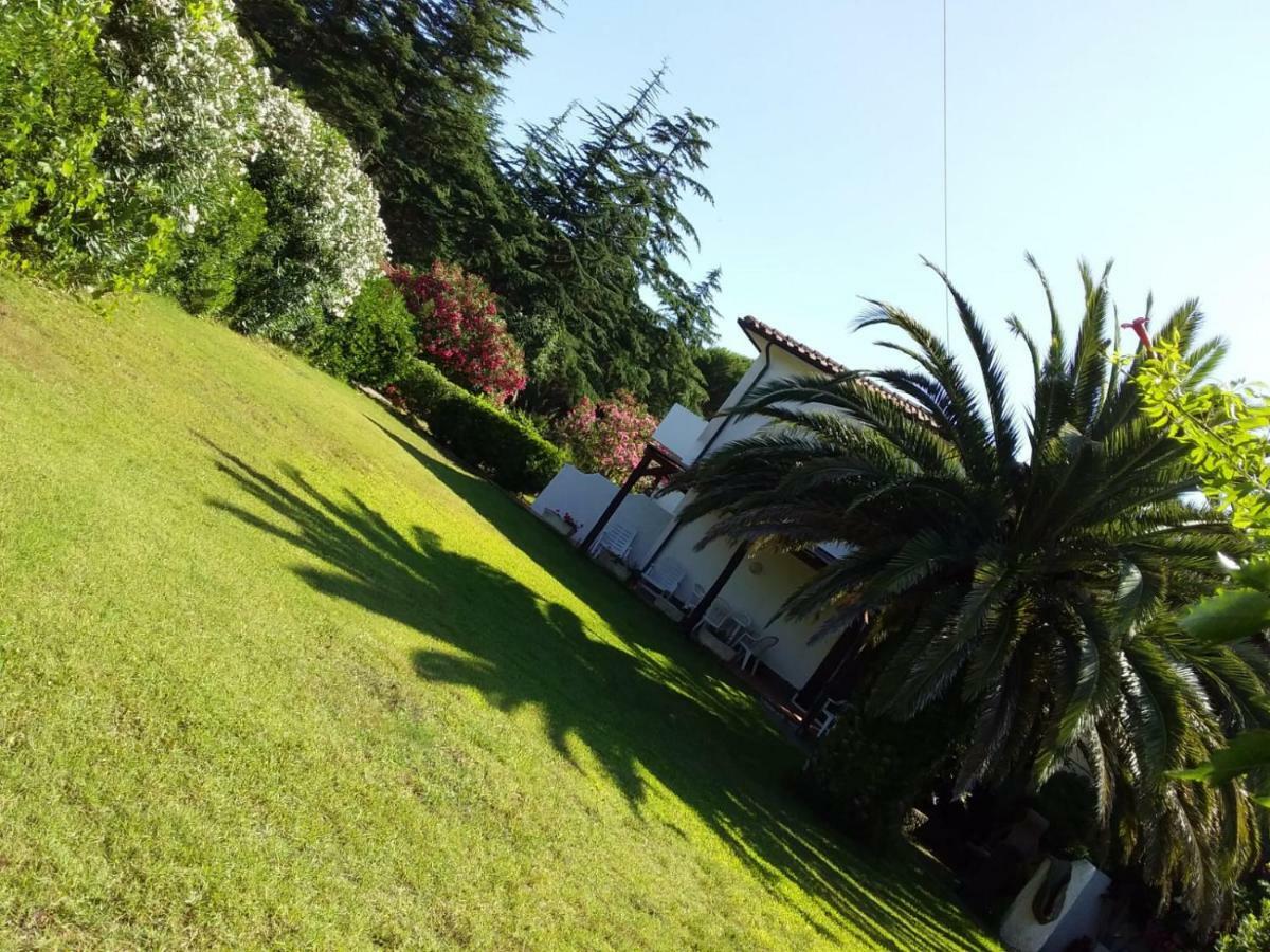 Apartament Le Palme Capoliveri  Zewnętrze zdjęcie