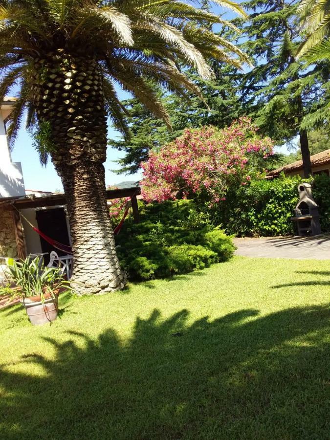 Apartament Le Palme Capoliveri  Zewnętrze zdjęcie