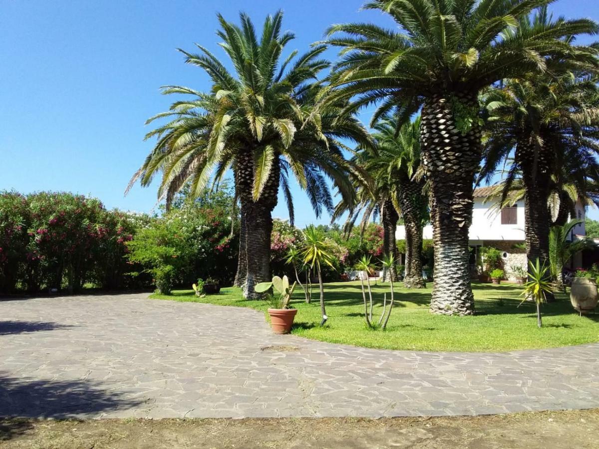 Apartament Le Palme Capoliveri  Zewnętrze zdjęcie