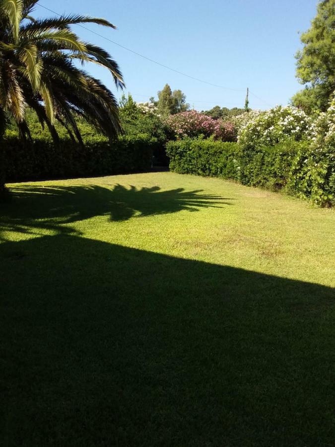 Apartament Le Palme Capoliveri  Zewnętrze zdjęcie