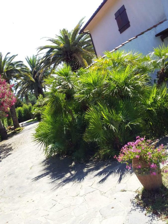 Apartament Le Palme Capoliveri  Zewnętrze zdjęcie