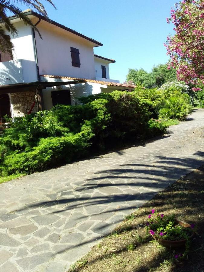 Apartament Le Palme Capoliveri  Zewnętrze zdjęcie